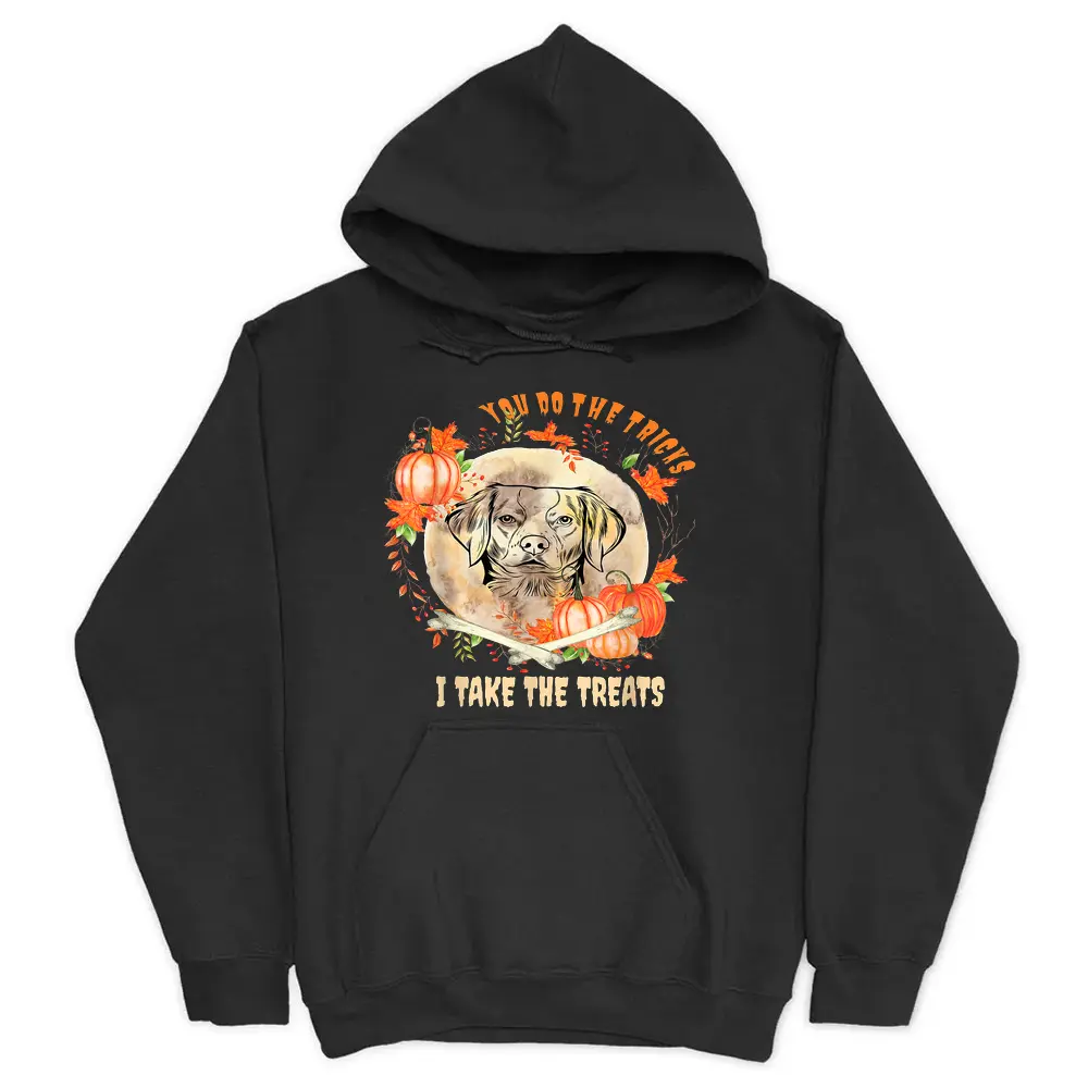 Brittany Spaniel Dog Owner Halloween Pumpkin Humor Funny Hoodie - Black